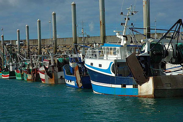 Chalutiers � Office de tourisme de Saint-Quay-Portrieux